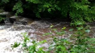 Birkacre drybones weir in flood [upl. by Alleuqahs]