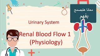 Renal blood Flow PART 1  Physiology هتفهم كل كلمة [upl. by Sremmus]