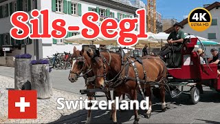 Walking Tour in Sils Im Engadin Switzerland 🇨🇭 4K 60fps  July 2024 [upl. by Wise837]