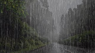 Lluvia Relajante Para Dormir en 5 Minutos  Sonido de Lluvia en el Bosque Brumoso  ASMR [upl. by Tirrell597]