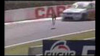 Kangaroo takes on the Bathurst 1000 [upl. by Catrina]