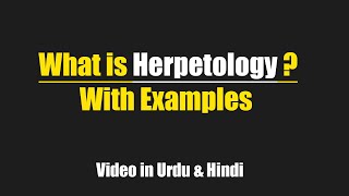 What is Herpetology with examples Urdu  Hindi [upl. by Ahsital]