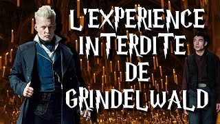 THÉORIE ANIMAUX FANTASTIQUES  L’EXPÉRIENCE INTERDITE DE GRINDELWALD ⚡ [upl. by Gehlbach]