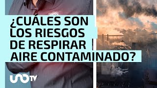 ¿Cuáles son los riesgos de respirar aire contaminado [upl. by Betsy250]