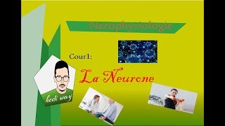 02 Tissu Nerveux la neurone  Neurophysiologie Bac Tunisie [upl. by Adnorhs660]