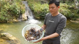 Catch crabs to cook and sell pomelos Robert  Green forest life [upl. by Aeslehs914]