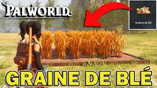 OBTENIR DES GRAINE DE BLÉ  PALWORLD [upl. by Yenhoj545]