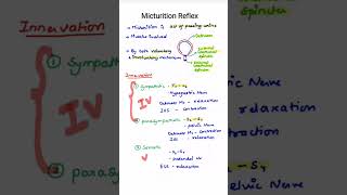 Physiology of Micturition  renal Physiology  MBBS 1ST YEAR [upl. by Airotna]