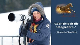 Fotokurs  Wie du Pferde im Showlicht fotografierst [upl. by Latreece]