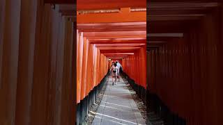 Fushimi Inari Shrine 1000 Torii Gates⛩️🇯🇵 伏見稲荷大社 千本鳥居 [upl. by Emilie]