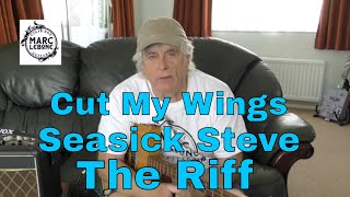 Cigar Box Guitar Cut my wing Seasick Steve riff [upl. by Amelia118]