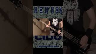 Litfiba  Tziganata Bass cover shorts short litfiba transea basscover bassplayer maroccolo [upl. by Markman616]