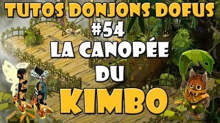 Tutos Donjons Dofus 54  La Canopée du Kimbo [upl. by Timrek807]