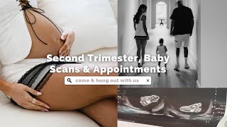 My Second Pregnancy  Second Trimester Baby Scans amp Appointments Vlog ♡ [upl. by Kala]