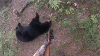 Black Bear Takedown [upl. by Hcurab]