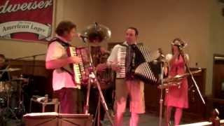 MARK HALATA POLKA BAND PLUS MOLLIE B AND TED LANGEENNIS TEXAS MAY 25 2013 [upl. by Beichner414]