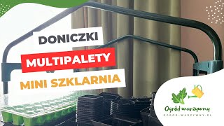 Jakie doniczki do rozsady pomidorów I Stojak na rozsady [upl. by Chaves]