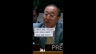 Please show some respect at least’ Chinese UNSC president tells Israeli envoy [upl. by Sucramraj]