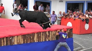 Tourada Agualva Ganadarias ER e HF  Ilha Terceira Açores [upl. by Robbin]