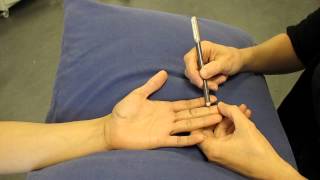 Interphalangeal Joint Palmar aspect Hand Palpation [upl. by Hoebart]