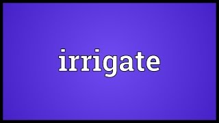 Irrigate Meaning [upl. by Enneirb899]