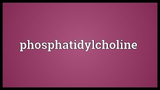 Phosphatidylcholine Meaning [upl. by Ahsoek]