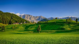 4K UHD Video  Beautiful Meadows  Grassland  Grassland Habitat [upl. by Calypso]