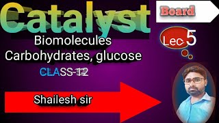 Polysaccharides class12 Carbohydrates [upl. by Helbonnah]