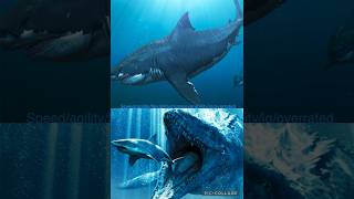 Megalodon vs mosasaurus and livyatan [upl. by Franciskus]