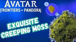 Avatar Frontiers Of Pandora Creeping Moss [upl. by Darrill]