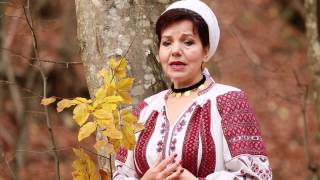 Irina ZoicanBanii naduc fericireOfficial Video NOU [upl. by Ykroc799]