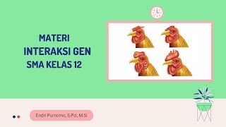 PENYIMPANGAN SEMU HUKUM MENDEL INTERAKSI GEN  SMA KELAS 12GENETIKA SMA KELAS 12BIOLOGI KELAS 12 [upl. by Seerdi120]