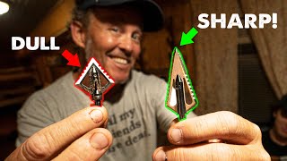 How to get RAZOR SHARP Broadheads wRANCH FAIRY [upl. by Ivanah]