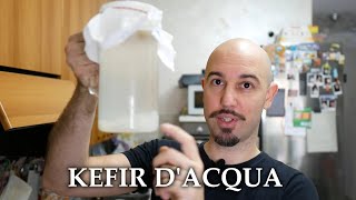 Kefir di acqua [upl. by Adnilra]