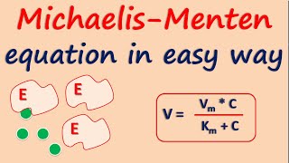 MichaelisMenten equation in easy way [upl. by Lucky]