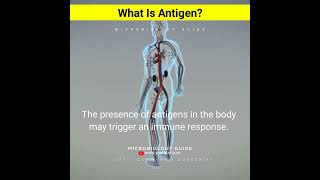 What Is Antigen In Hindi shorts [upl. by Oiralednac]