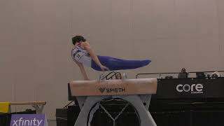 Stephen Nedoroscik  Pommel Horse  2024 Winter Cup  Men Day 2 [upl. by Min171]