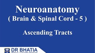 Neuroanatomy Brain amp Spinal Cord  5 Ascending Tracts [upl. by Buskirk]