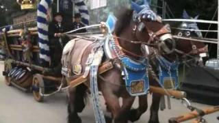 alle Brauereikutschen der Wiesn 2010 [upl. by Narhet]