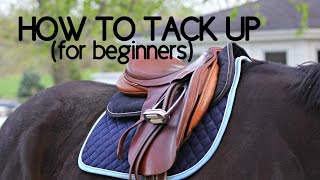 How To Tack Up Your Horse English [upl. by Eeresed349]