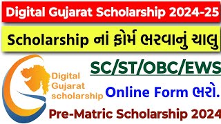 Digital Gujarat Scholarship 202425 Online Form Fill Up Date 2024 PreMatric Scholarship SCSTOBC [upl. by Aigneis468]