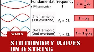 Stationary waves on a string  First or fundamental harmonic physicsclass11 waves [upl. by Litch]