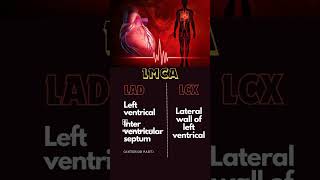 which situation coronary artery blocked [upl. by Martinez]