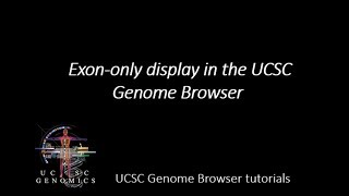 Exononly display in the UCSC Genome Browser [upl. by Eneli461]