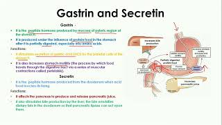 Gastrin and Secretin  Gut hormone  Coordination and control [upl. by Janus]