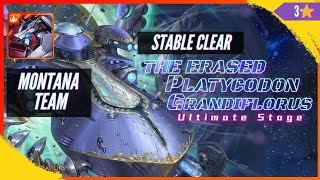 The Erased Platycodon Grandiflorus Ultimate Stage by Montana Team [upl. by Reckford]