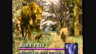 1989 Disney Channel Commercials And Promos [upl. by Anirt529]