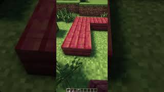 How to LEGALLY XRAY in Minecraft [upl. by Airenahs]