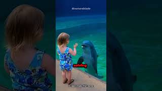 Discovering the Wonders of Dolphins animal animals [upl. by Estell]