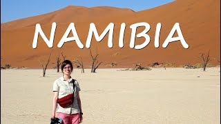 AFRICAN ADVENTURE  TRAVEL VIDEO NAMIBIA 2017 🐘 [upl. by Iramat]